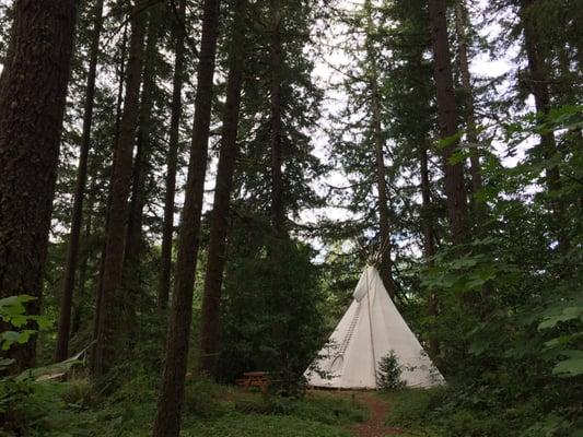 This tipi is farther away from the main common area. Nestled in some beautiful trees, so quiet and a little more private.