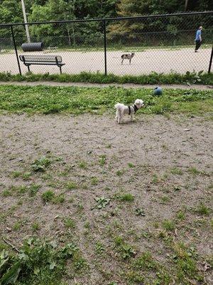 Hooksett Dog Park