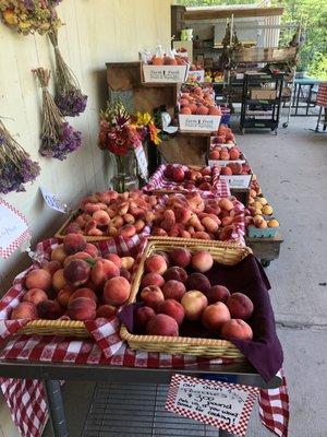 Peaches are in season! Also nectarines, donut peaches, corn, cucumbers etc.