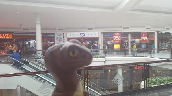 Bob the Raptor Says "Mammals come here to get Music and Movies."