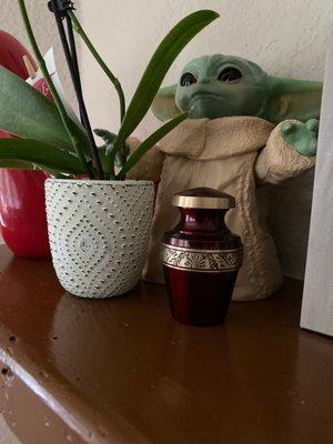 My keepsake urn. Opt in red, it was my Dad's favorite color.