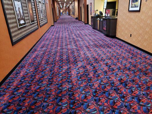 Carpet Cleaning Services