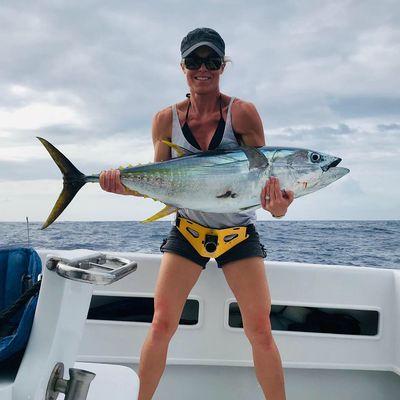 50lb Yellowfin Tuna