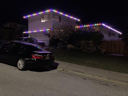 multicolored holiday lights