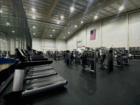 Downstairs - Featuring LifeFitness, Hammer Strength, FreeMotion machines & Rogue Infinity Rig