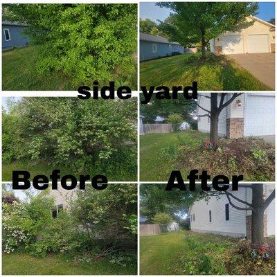 Coston's Stump Grinding