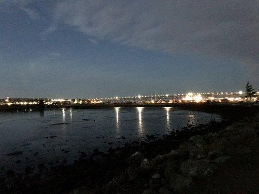 Walking along the Marina at night