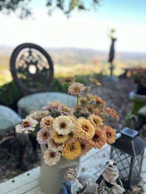 So many special spots to sit and enjoy the view.