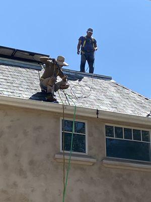 Cleaning roof