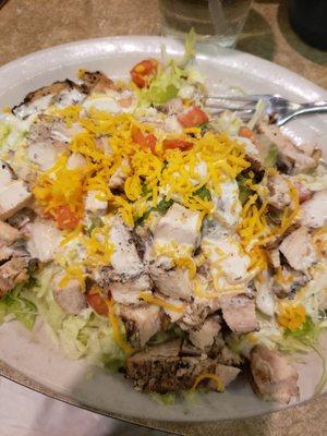 Chicken fajita salad