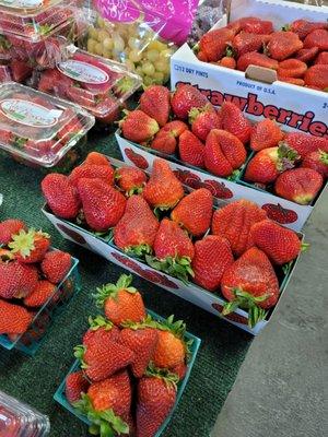 Those are some huge strawberries !