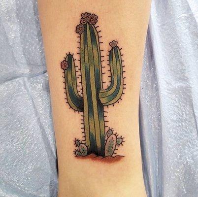 Cactus by Nathan Woelke