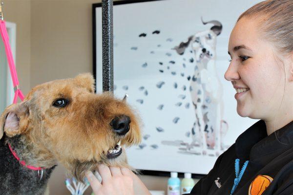 Groomer Monica gives Ryder a tooth brushing!