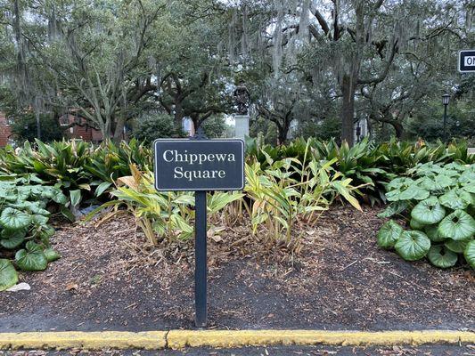 Forest Gump bench was just a prop, so don't go expecting it there. Savannah is a beautiful place to visit! Many other things to visit.