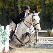 Paramount Show Stables