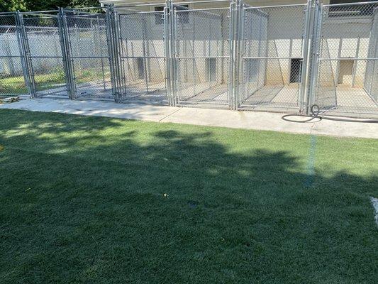 Our astroturfed courtyard.