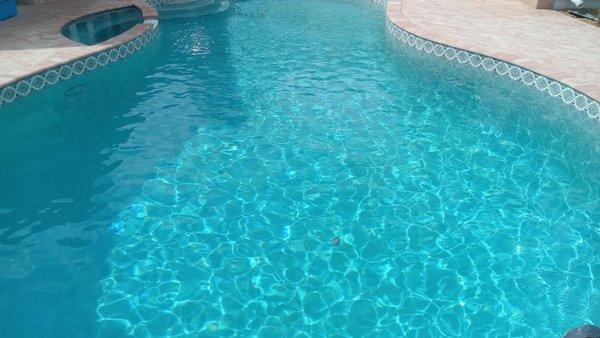 Beautiful pool that was cleaned by Palms Pool!!