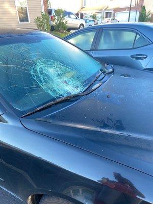 Damaged Windshield