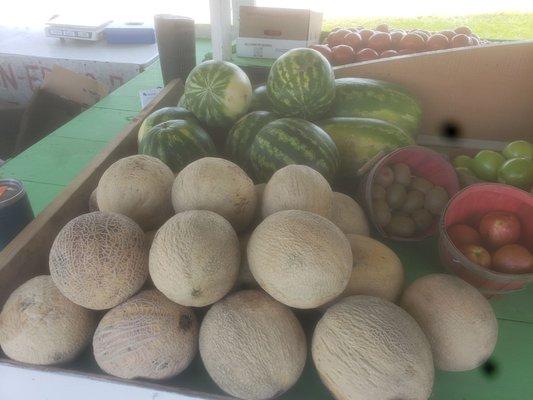 delicious cantaloupe and watermelons