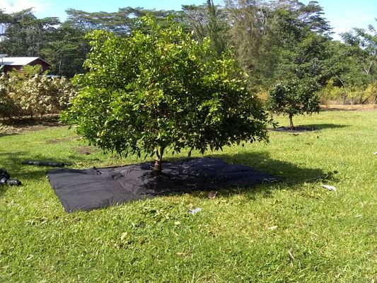 Landscape design weed mat preparation for rock.