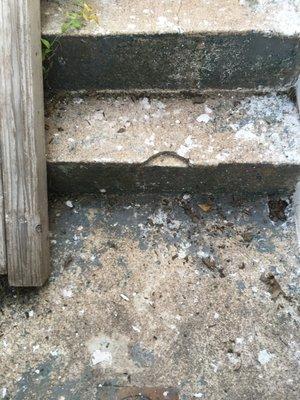 Stucco residue and damage to concrete step. Eraldi Agolli has not cleaned up the mess his workers left. Job was done April 2024.