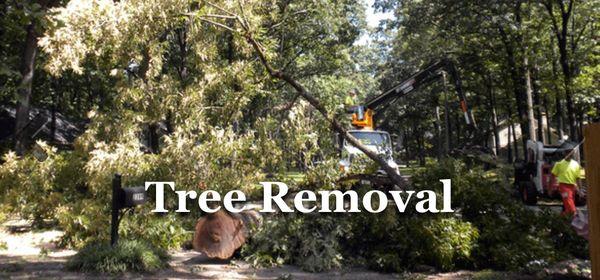 Michaels Tree and Loader Service