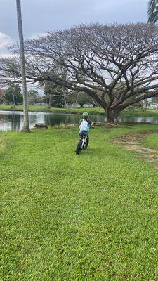 Biking through Wailoa park