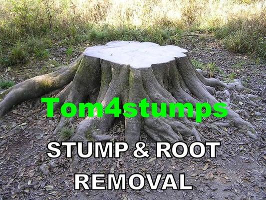 Tom 4 Stumps