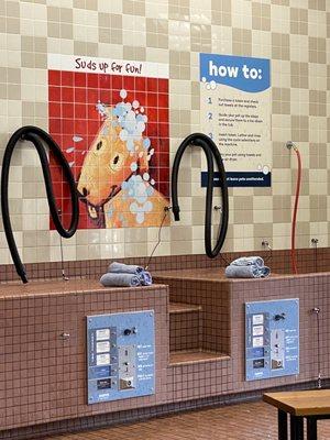 Pet wash