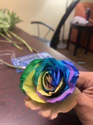 Rainbow rose just spectacular