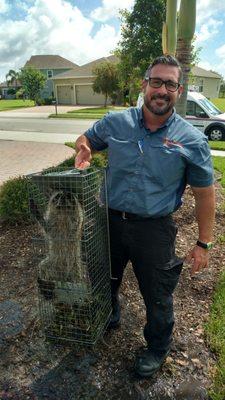 James helping to find a raccoon a new, safe home. Away from people