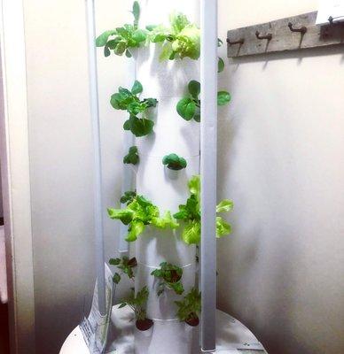 Our Tower Garden - Learn to Grow Your Own Healthy Food