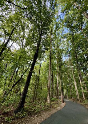 Shaded trails