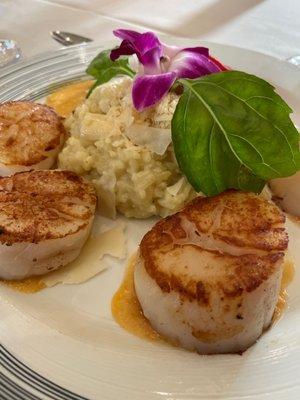 Sea Scallop with Truffle Risotto