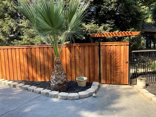 Redwood board on board privacy fence with Redwood Top Cap, Redwood Trim, Swing Gate with Trellis