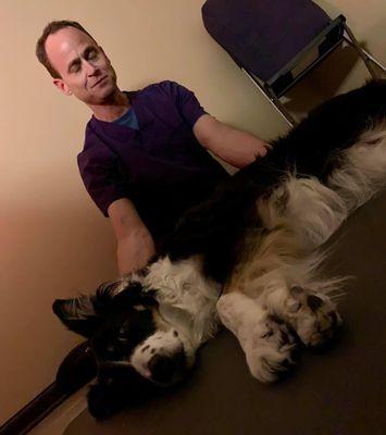 Mike McGuigan, animal reiki