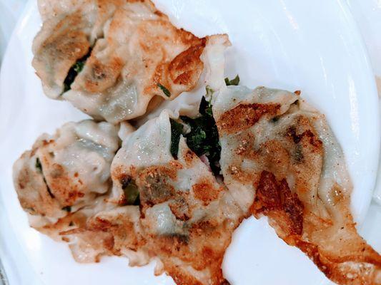 Fried Pork and Chive Dumpling