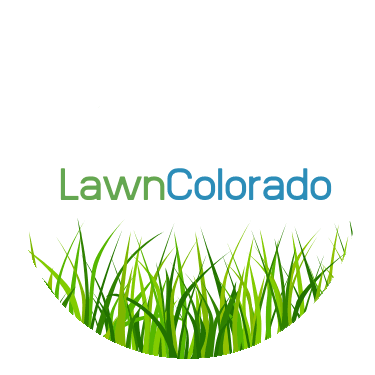 Lawn Colorado