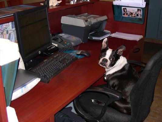 Carter Manning The Phones