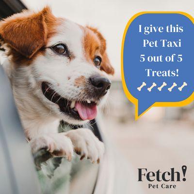 Fetch Pet Care