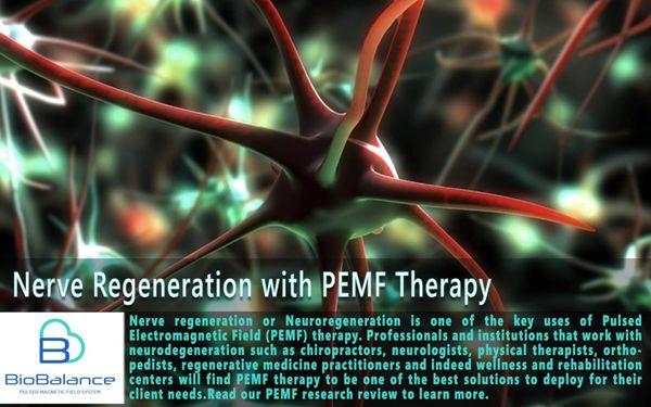 PEMF THERAPY AVAILABLE HERE