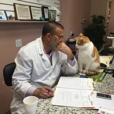 Tarzan likes to help Dr Gill by discussing the cases.