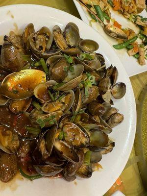 Black bean sauce clams