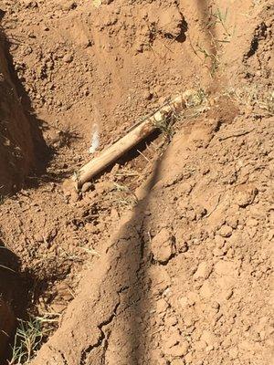 Photos of damaged done to our irrigation system via American Backyard Pool.