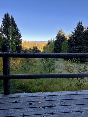 View from porch of Alex's Cabin