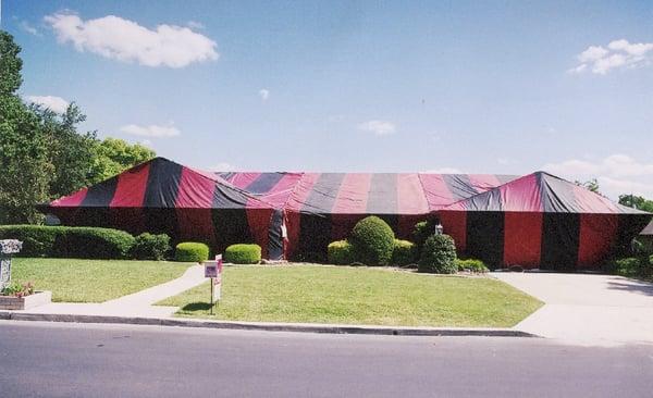 tenting for termites