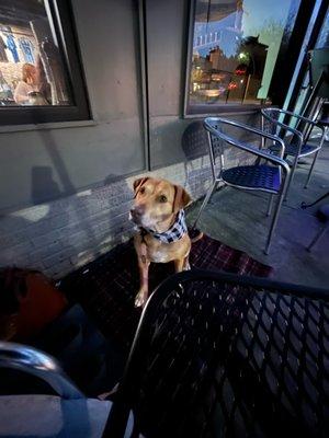 Dog friendly patio!!