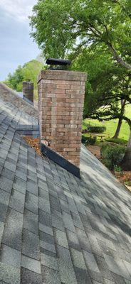 leaves and debris caught at edge of chimney