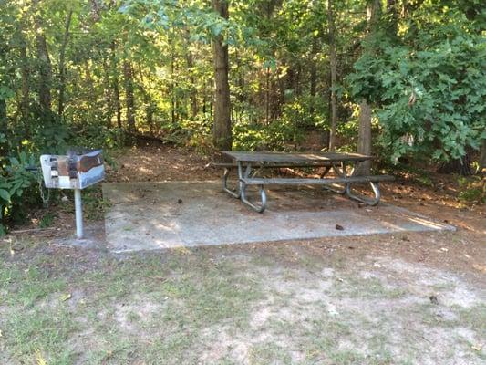 They have a couple of grills and picnic tables near the playground