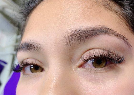 3-6D eyelash